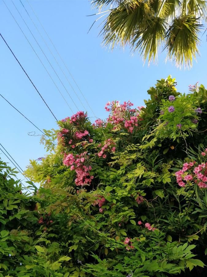 La Palmeraie Marsiglia